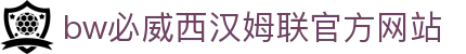 中国·必威(bw·西汉姆联)中文官方网站